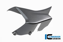 Linker winglet op de zijkuip mat carbon Ducati Multistrada V4S (2021-2024)