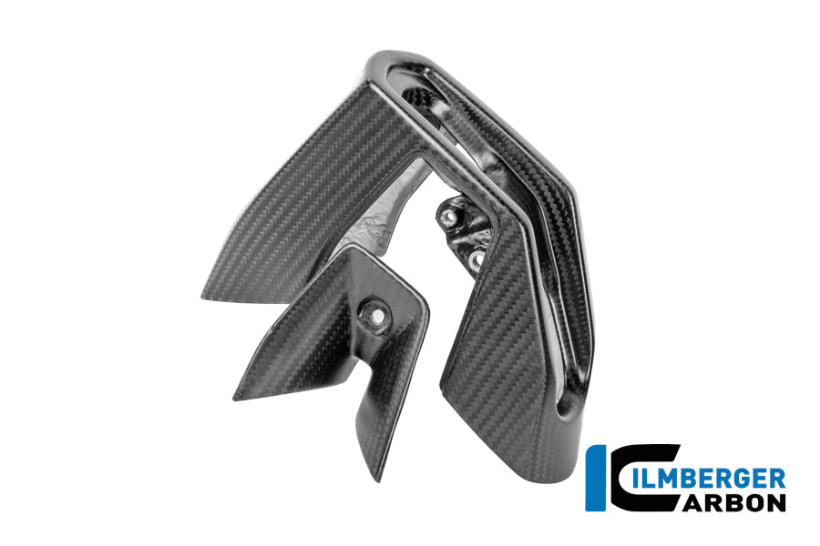 Uitlaat eindkapset carbon mat BMW R1300R Exclusive (2025+)