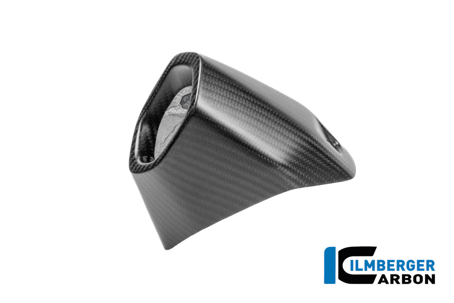 Protecteur de silencieux arrière Matt Carbon BMW R1300GS 2023+