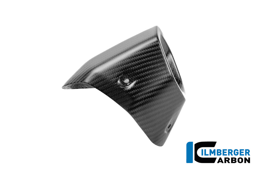 Protecteur de silencieux arrière Matt Carbon BMW R1300GS Adventure 2024+