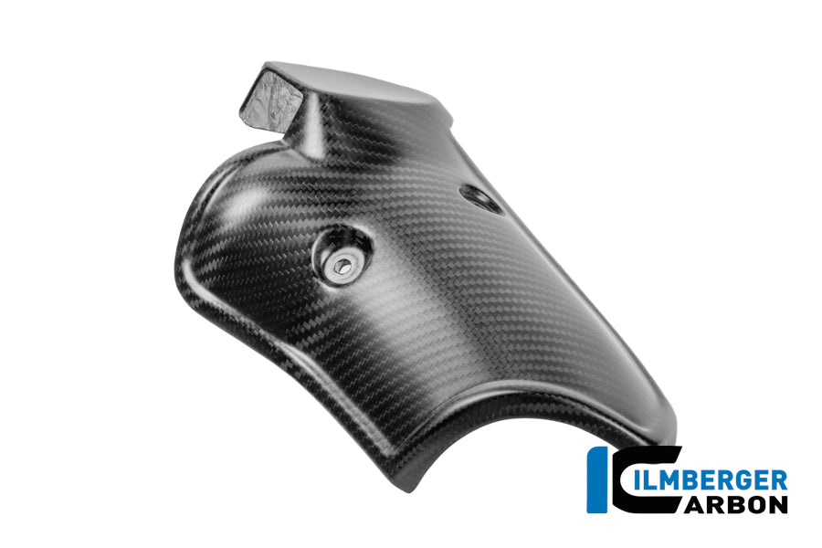 Protecteur de silencieux Matt Carbon BMW R1300GS Adventure 2024+