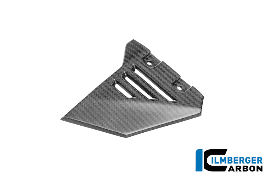 Cache triangulaire de cadre, partie avant gauche, en Carbone mat BMW R1300GS Adventure Triple Black (2024+)