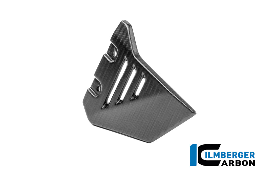 Cache triangulaire du cadre, partie avant droite, en carbone mat BMW R1300GS Adventure Option 719 Karakorum (2024+)