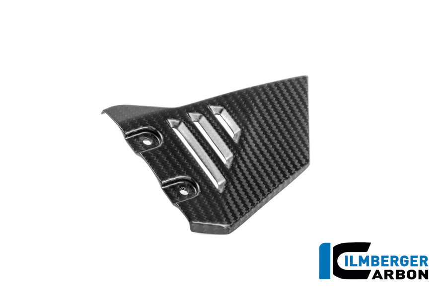 Cache triangulaire du cadre, partie avant droite, en carbone mat BMW R1300GS Adventure Option 719 Karakorum (2024+)