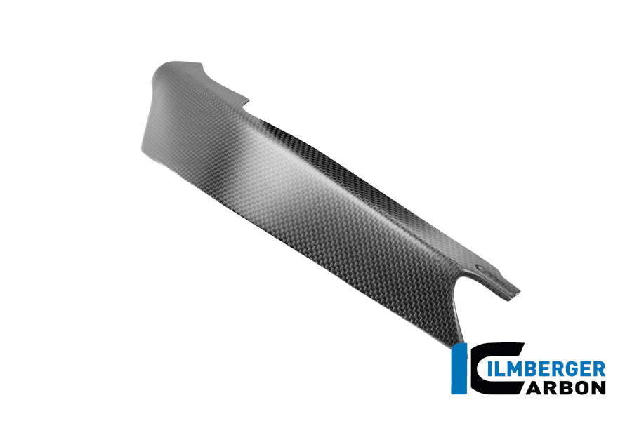 Zijpaneel (links) mat carbon Ducati Panigale V4S (2025+)