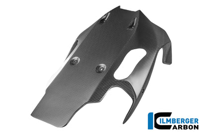 Bellypan mat carbon BMW R1300R Performance (2025+)
