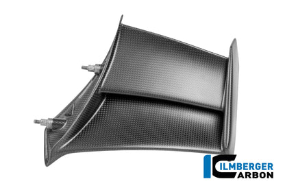 Winglet V4R-stijl (links) mat carbon Ducati Panigale V4 Tricolore Italia (2025)