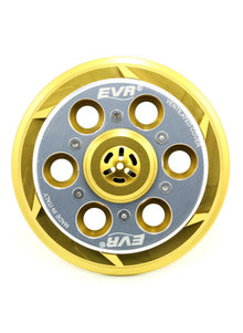EVR geventileerde Drukplaat Koppeling - basis goud / zilverkleurige topplaat Ducati Hypermotard 1100 (2007-2012)