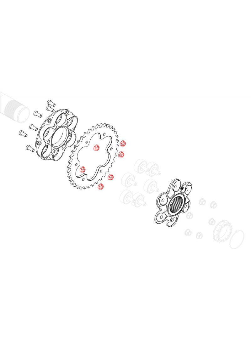 Quick-Change Achtertandwiel moerenset Set CNC Racing - Ducati Diavel V4 RS (2025+)