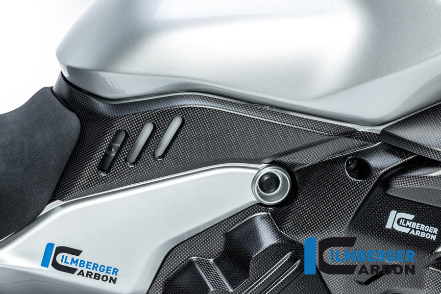 Tankcover onder rechts mat carbon Ducati Diavel V4 RS (2025+)