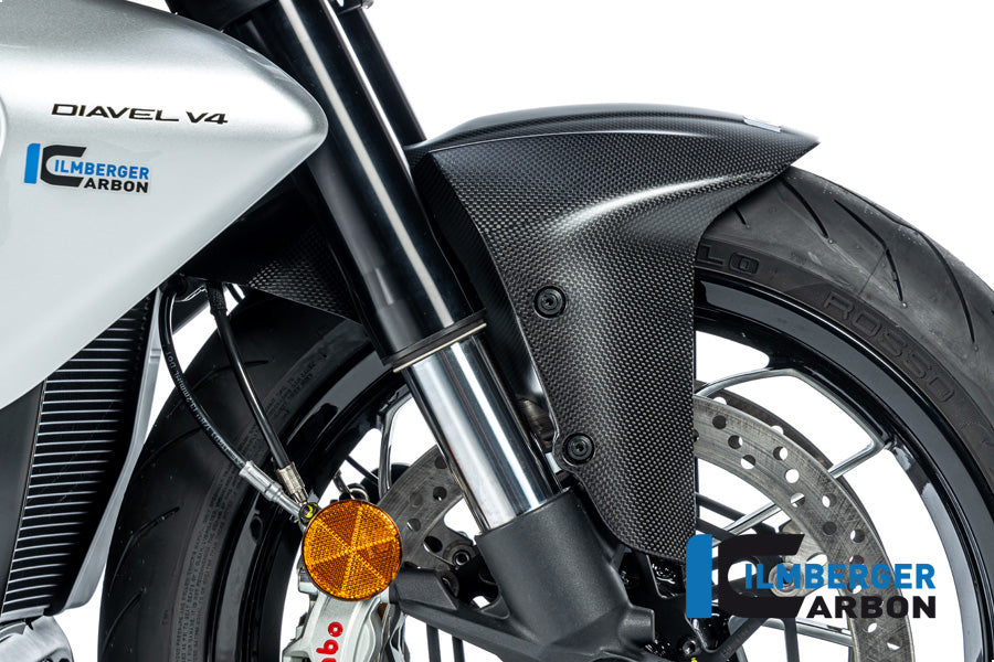 Voorspatbord mat carbon Ducati Diavel V4 RS (2025+)