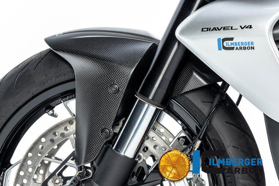 Voorspatbord mat carbon Ducati Diavel V4 RS (2025+)