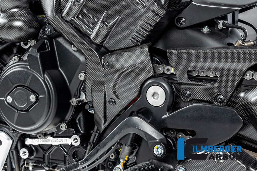 Voortandwiel cover mat carbon Ducati Diavel V4 RS (2025+)