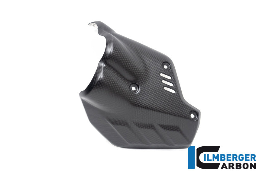 Uitlaathitteschild muffler mat carbon Ducati Diavel V4 RS (2025+)