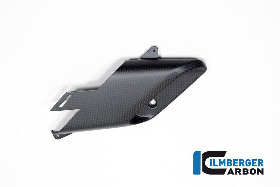 Luchtgeleider (luchtuitlaat) links mat carbon Ducati Diavel V4 RS (2025+)