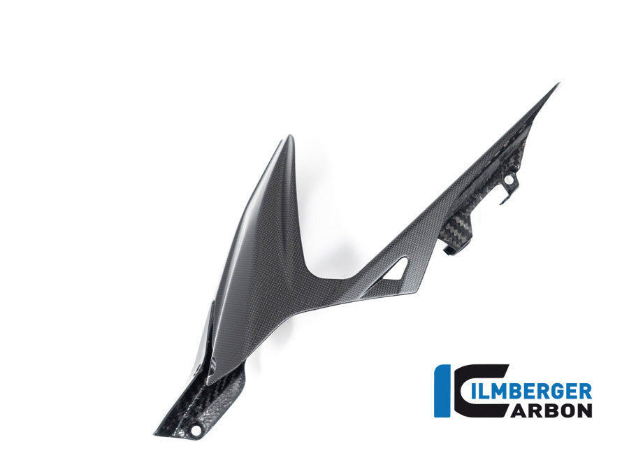 Fender arrière avec gardien de chaîne Matt Carbon Ducati Diave V4 2023+