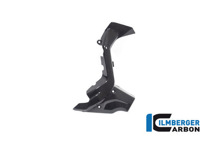 Voortandwiel cover glanzend carbon Ducati Diavel V4 RS (2025+)