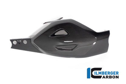 Achterbrug beschermer glanzend carbon Ducati Diavel V4 RS (2025+)