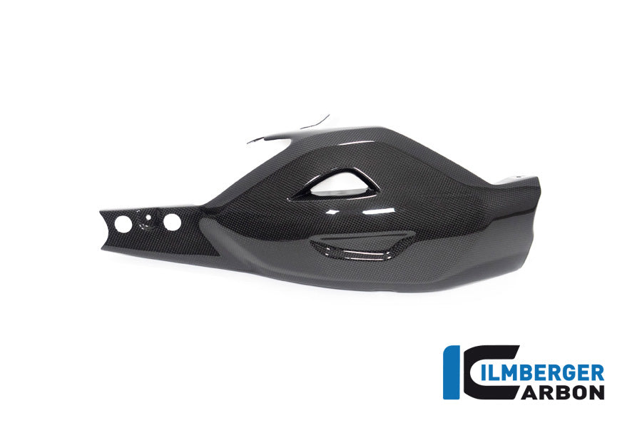 Achterbrug beschermer glanzend carbon Ducati Diavel V4 RS (2025+)