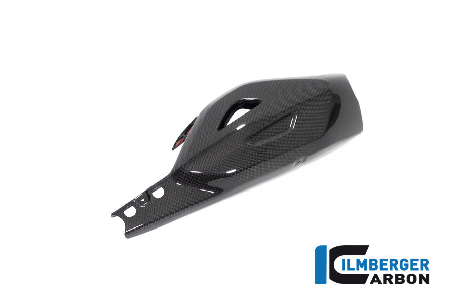 Achterbrug beschermer glanzend carbon Ducati Diavel V4 RS (2025+)