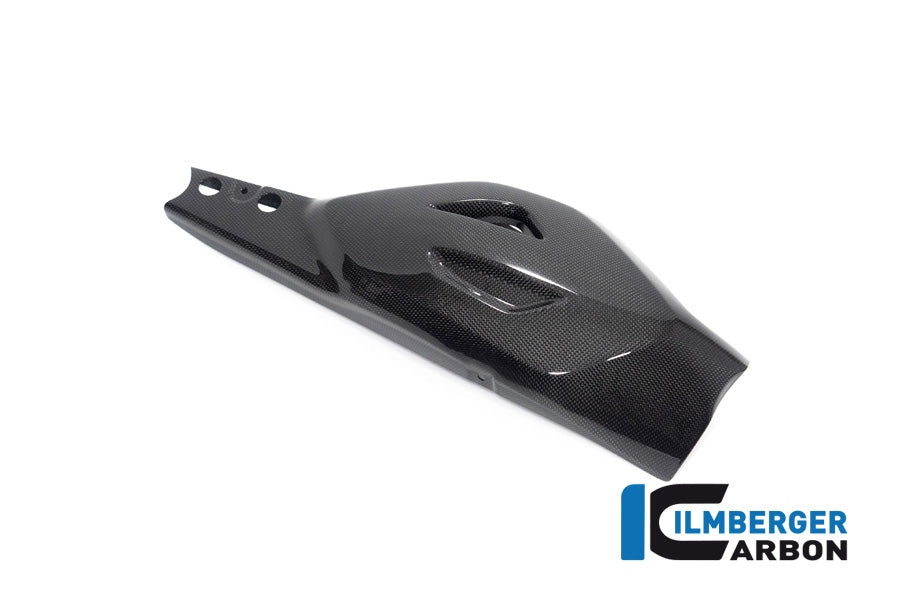 Achterbrug beschermer glanzend carbon Ducati Diavel V4 RS (2025+)