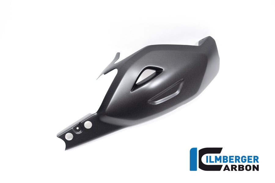 Achterbrug beschermer mat carbon Ducati Diavel V4 RS (2025+)
