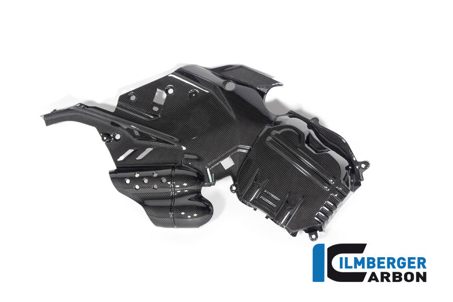 Cilinderkopdeksel links glanzend carbon Ducati Diavel V4 RS (2025+)