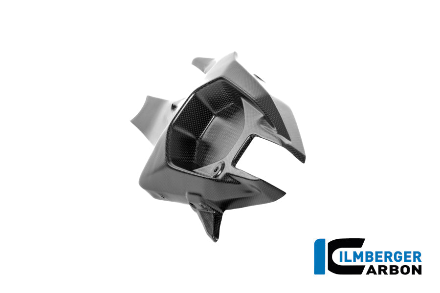 Achterbrugbeschermer (links) mat carbon Ducati Panigale V4R (2026+)