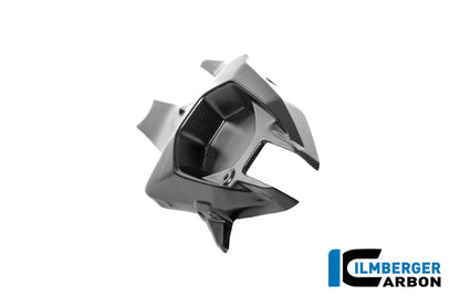 Achterbrugbeschermer (links) mat carbon Ducati Panigale V4 2025+
