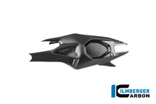 Achterbrugbeschermer (links) mat carbon Ducati Panigale V4 Tricolore (2025+)