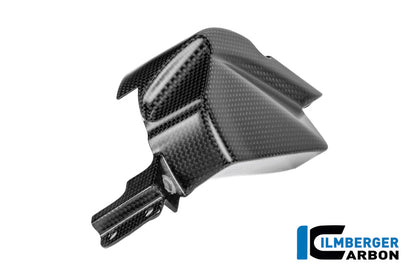 Tandwielbeschermer mat carbon Ducati Panigale V4 Tricolore (2025+)