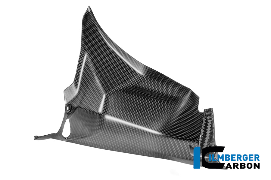 Luchtkanaalcover (links) mat carbon Ducati Panigale V4 (2025+)