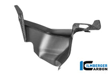 Luchtkanaalcover (links) mat carbon Ducati Panigale V4R (2026+)