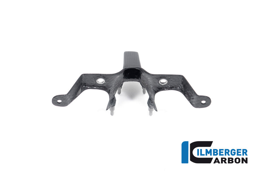Pare-brise Matt Carbon Streetfighter V4 / V4S Ducati Streetfighter V4 S (2023+)