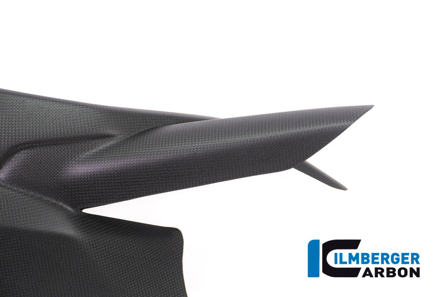 COUVERTURE ARME SWING MATT CARBON - DUCATI MONSTER 1200 2017+ Ducati Monster 1200 (2017-2021)