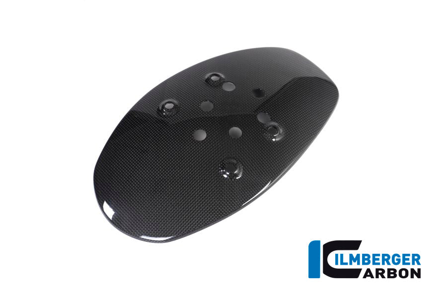 Spatscherm achterwiel glanzend Ducati Diavel V4 RS (2025+)