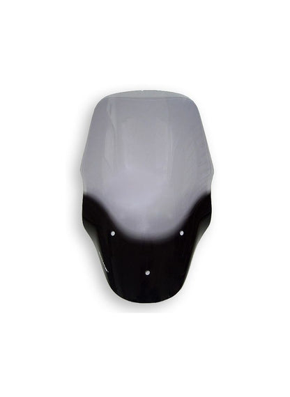 Ermax high windscreen 72cm MP3 125-300-400-500 2011-2018