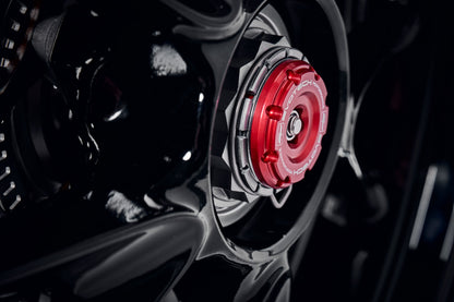 Achterbrug Beschermer Set Evotech Performance - Triumph Speed Triple 1200 RR (2022+)