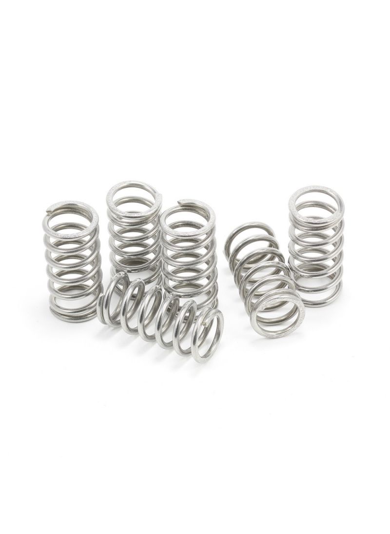 Steel springs kit Ducati 998S (2002-2003)