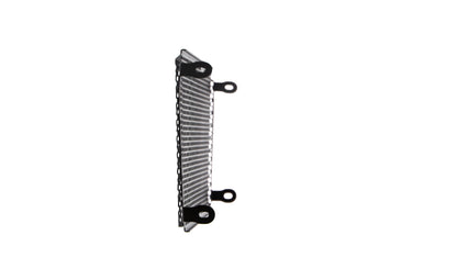Evotech Radiatorcover - Aprilia Dorsoduro 750 (2017)