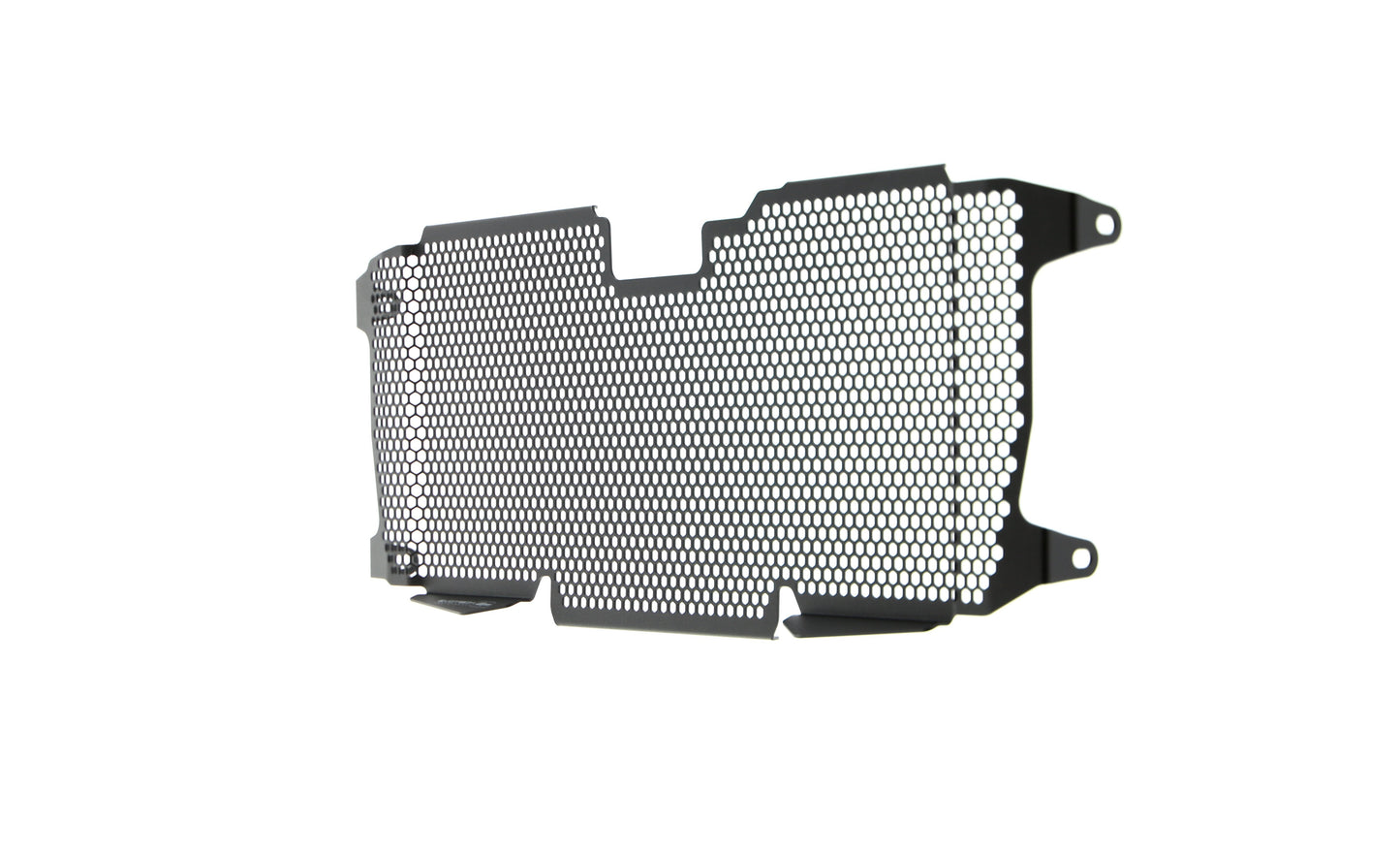 Evotech BMW R 1250 R Sport Radiatorcover (2019+)