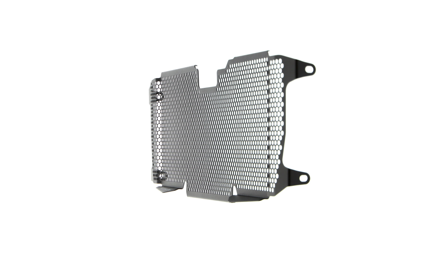 Evotech BMW R 1200 R Radiatorcover 2015 - 2018
