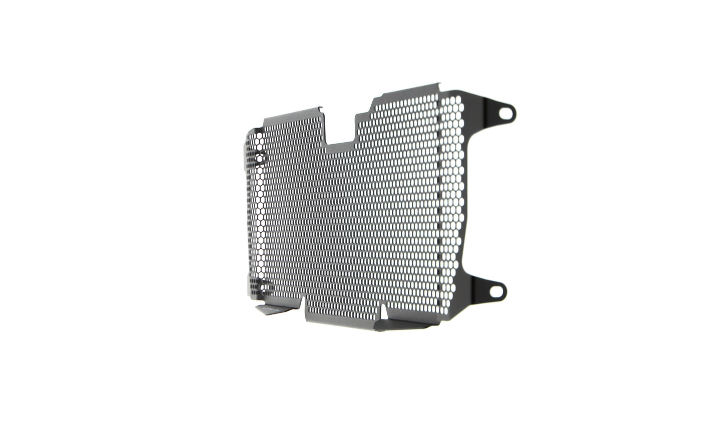 Evotech BMW R 1250 RS Radiatorcover (2019+)
