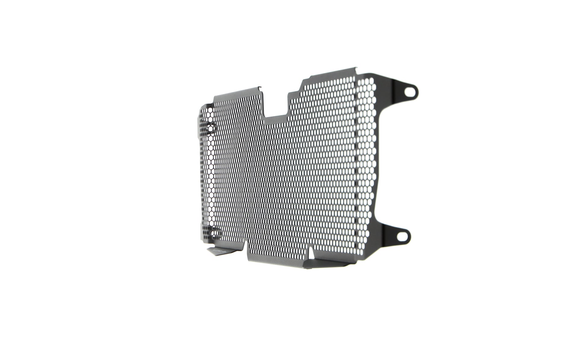 Evotech BMW R 1250 RS Radiatorcover (2019 - 2021)