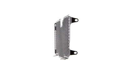 Evotech BMW R 1250 R Exclusive Radiatorcover 2019+