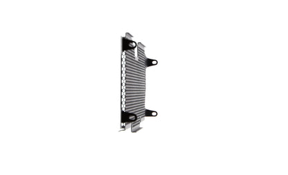 Evotech BMW R 1250 RS Radiatorcover (2022+)