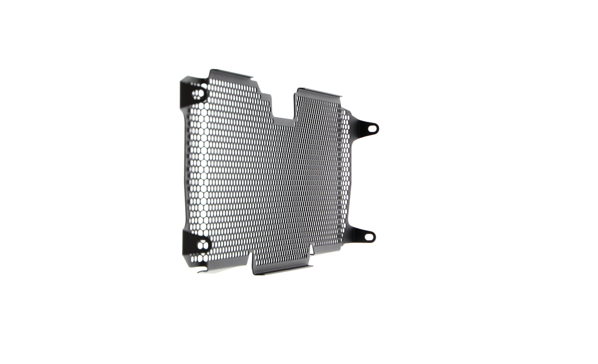 Evotech BMW R 1250 RS Radiatorcover (2019 - 2021)