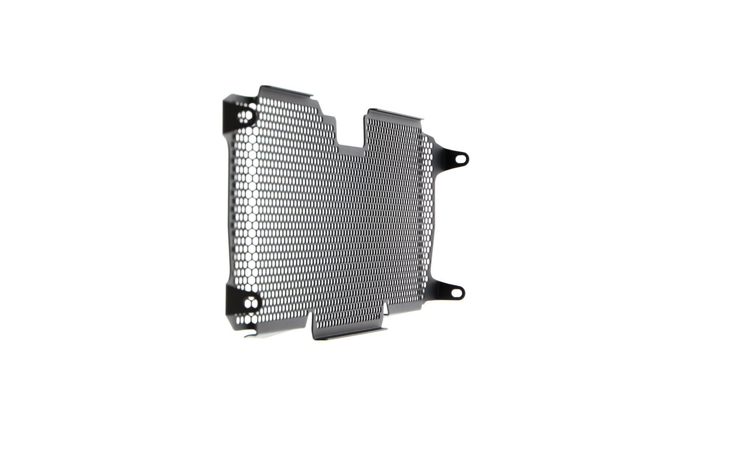 Evotech BMW R 1250 R Exclusive Radiatorcover 2019+