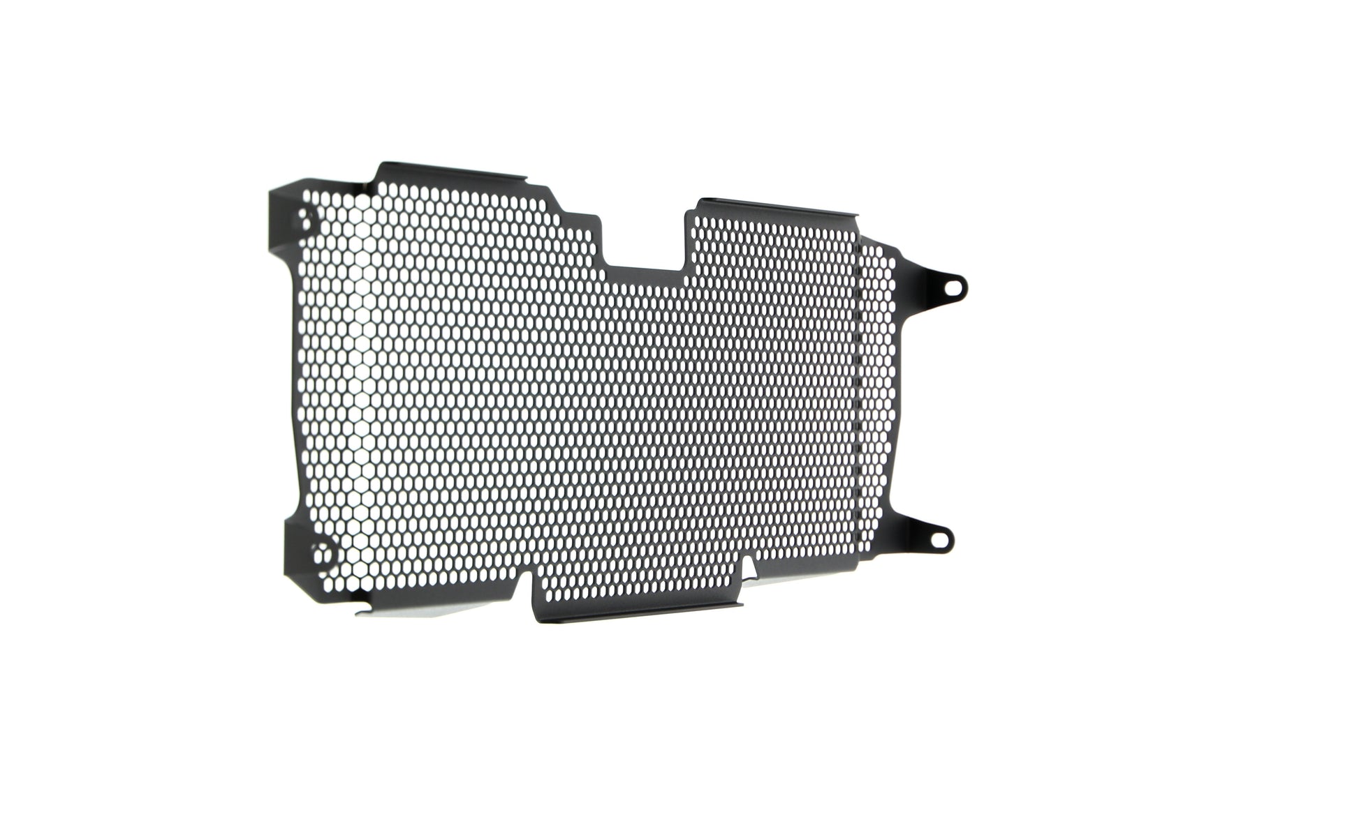 Evotech BMW R 1250 RS Radiatorcover (2019 - 2021)