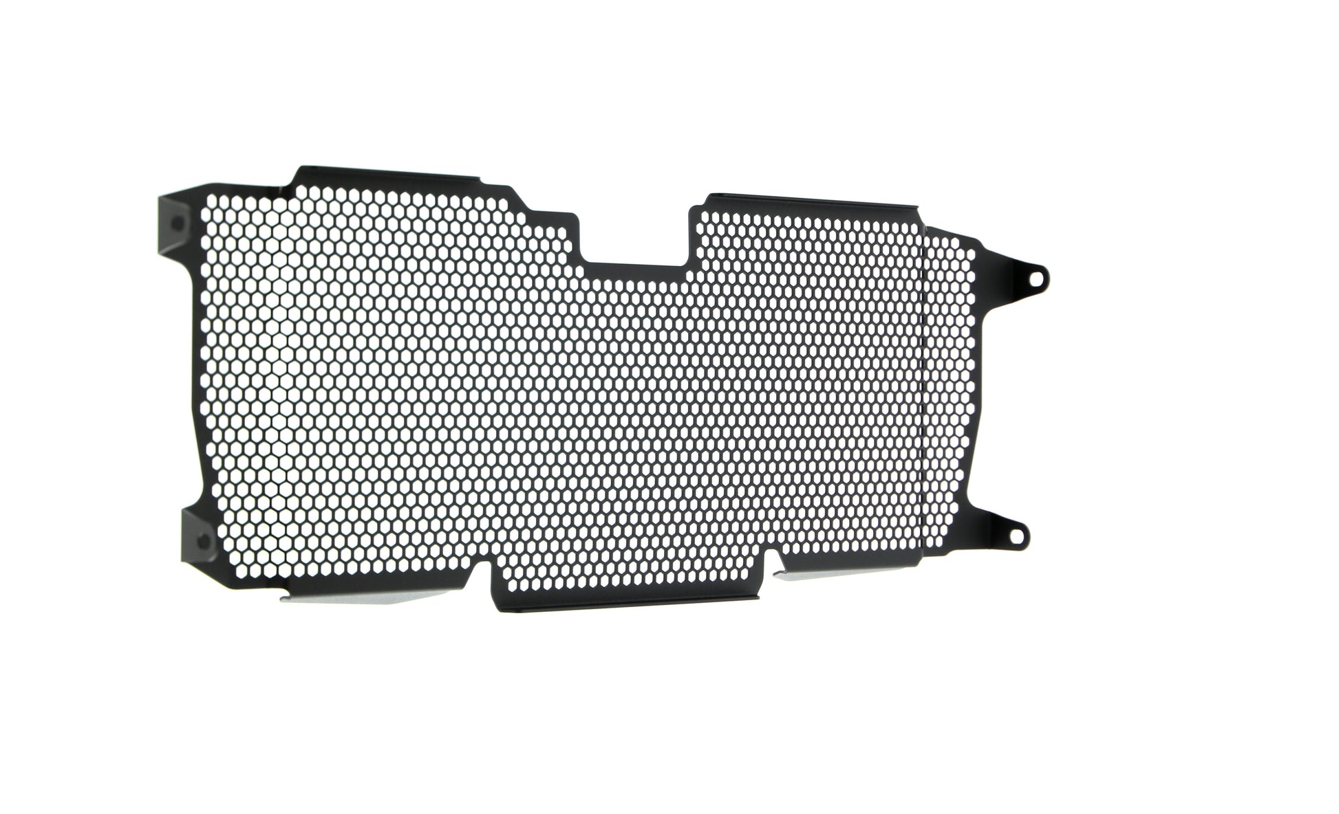 Evotech BMW R 1250 RS Radiatorcover (2019+)